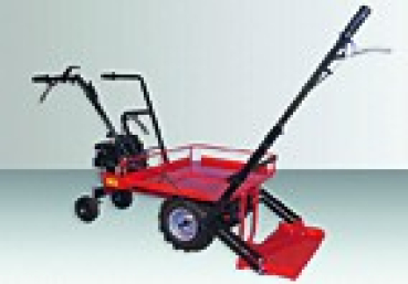 Eurosystems Motorschubkarren Carry mit EGO Motor