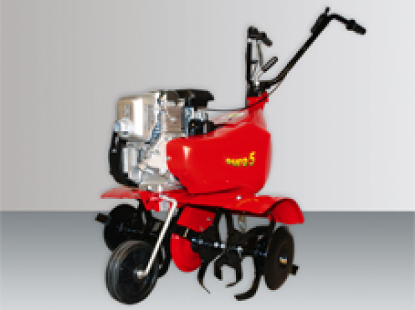 Eurosystems Euro 5 RM EVO mit B&S Motor 2V+1R