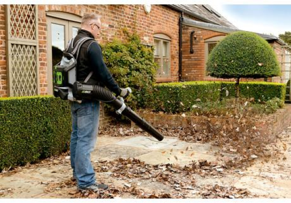 LB6002E KRAFTVOLLES RÜCKENBLASGERÄT mit Akku und Ladegerät