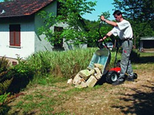 Eurosystems Motorschubkarren Carry